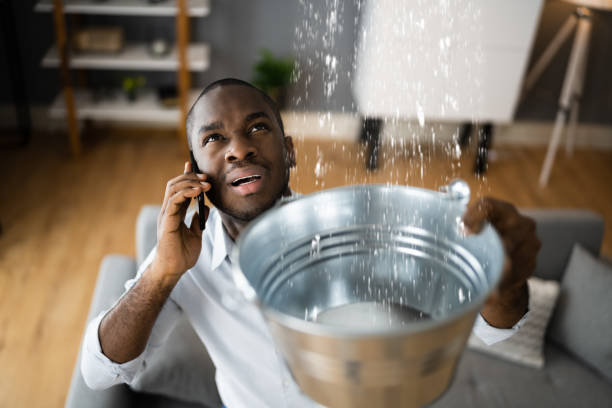 Best Basement water damage restoration  in Kiln, MS