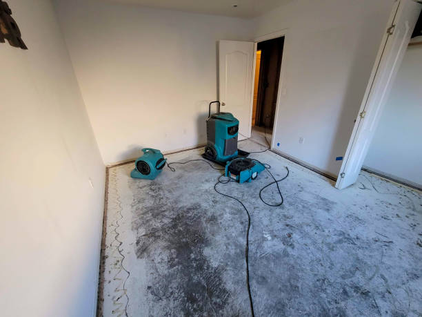 Best Water damage restoration specialists  in Kiln, MS
