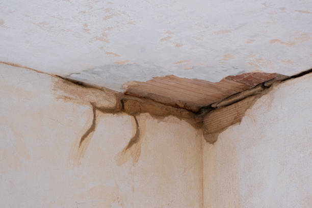Best Ceiling water damage repair  in Kiln, MS