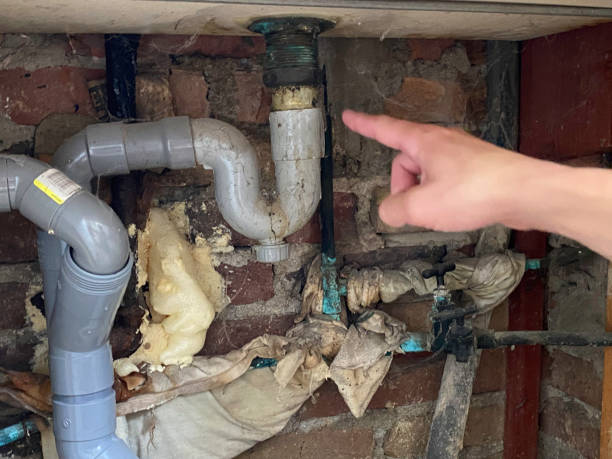 Best Flooded house restoration  in Kiln, MS