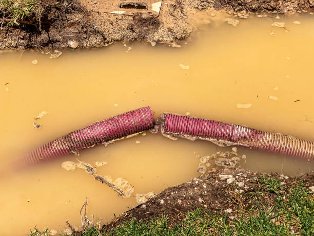 Best Flood restoration services  in Kiln, MS