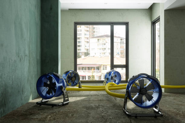Best Emergency water damage restoration  in Kiln, MS